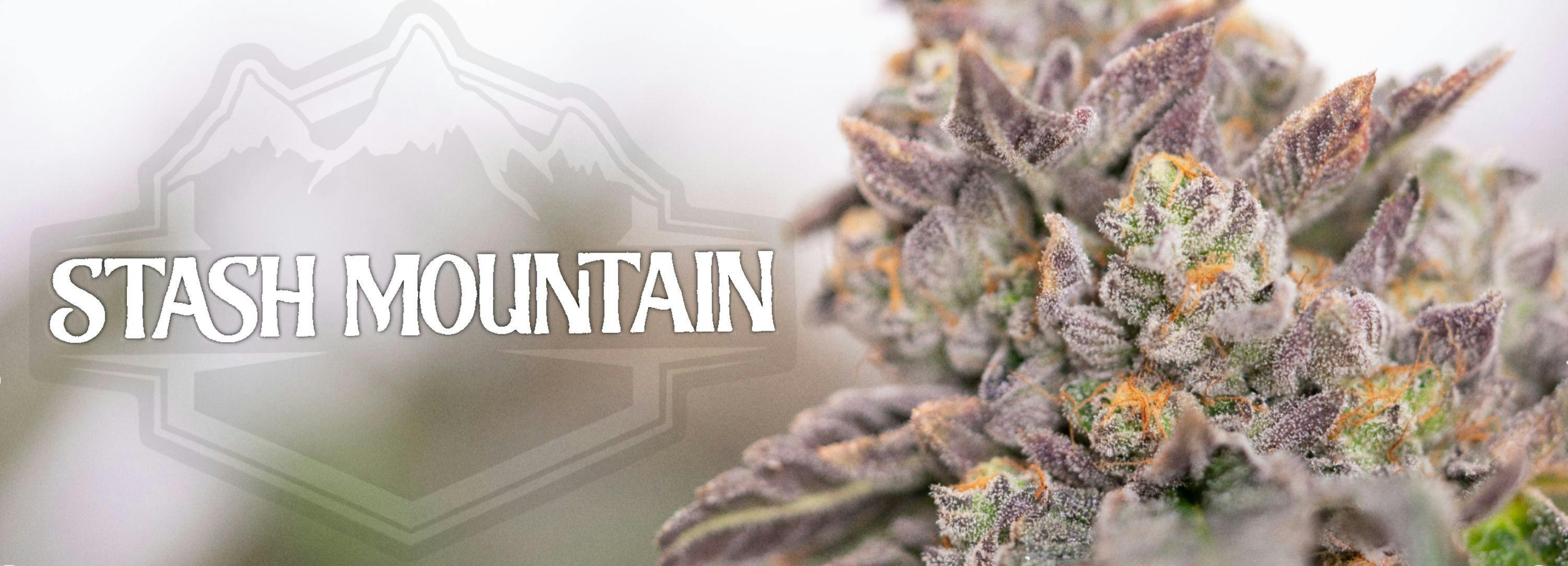 Stash Mountain brand banner