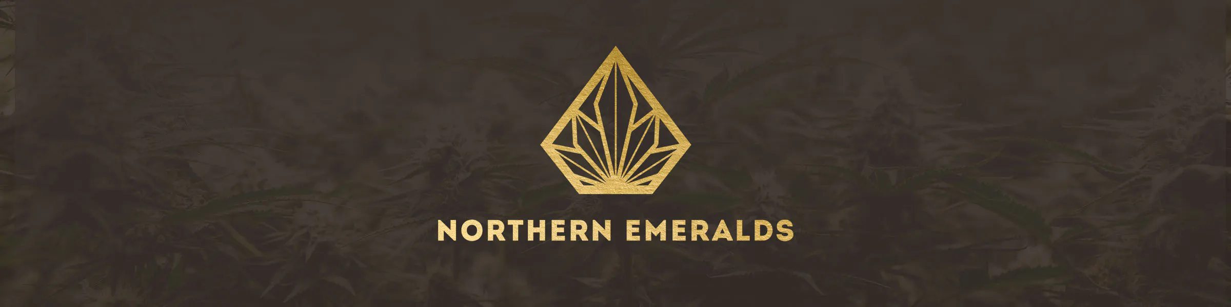 Northern Emeralds NM brand banner