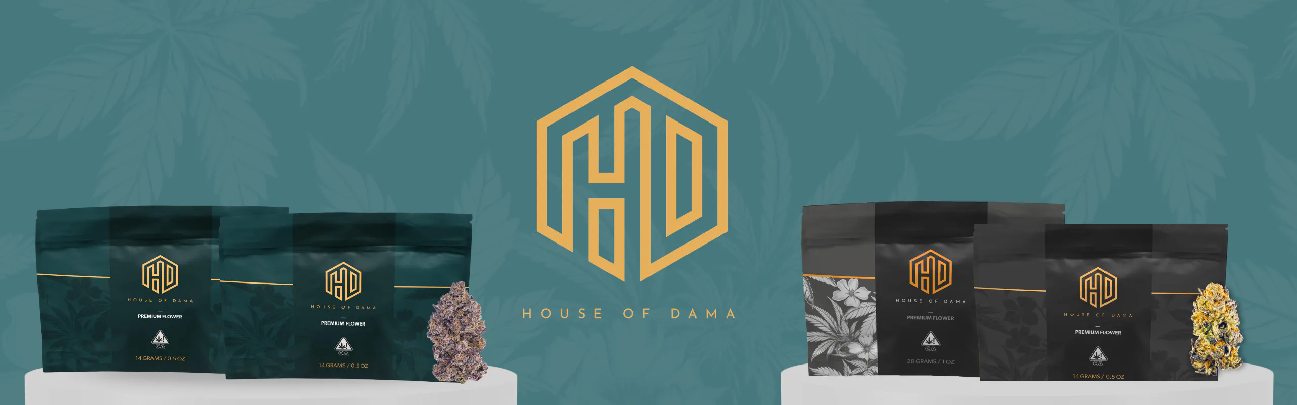 House of Dama brand banner