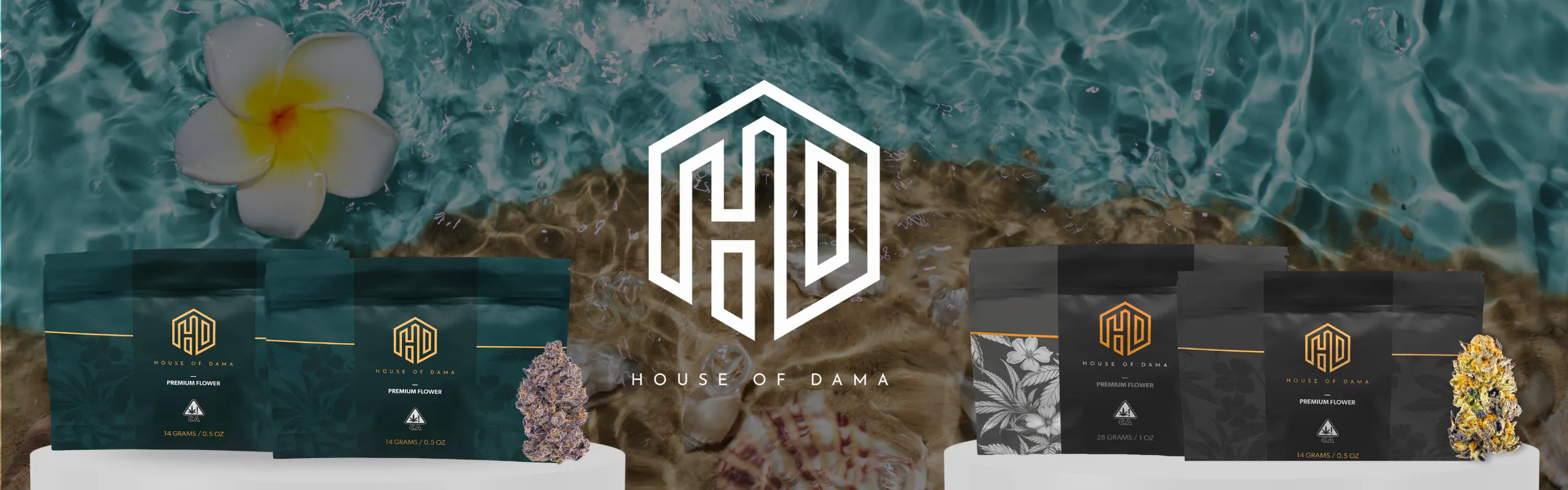 House of Dama brand banner