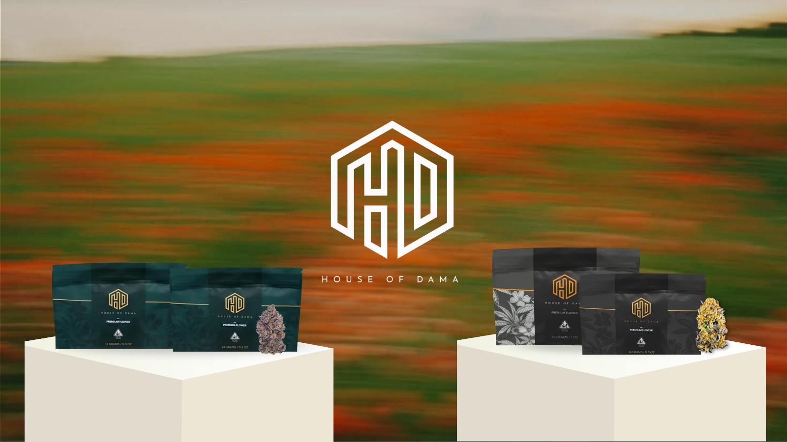 House of Dama