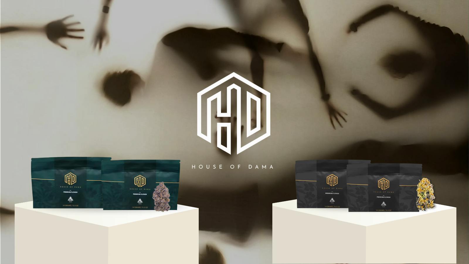 House of Dama