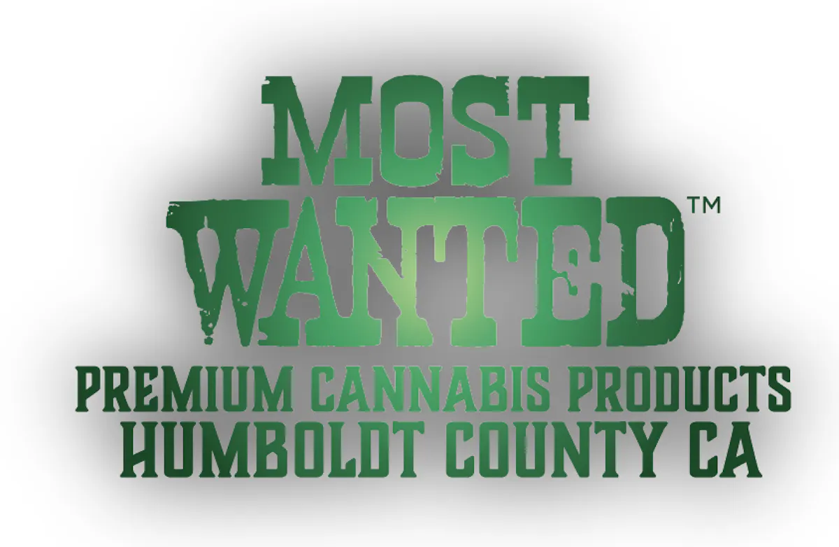 Most Wanted brand banner