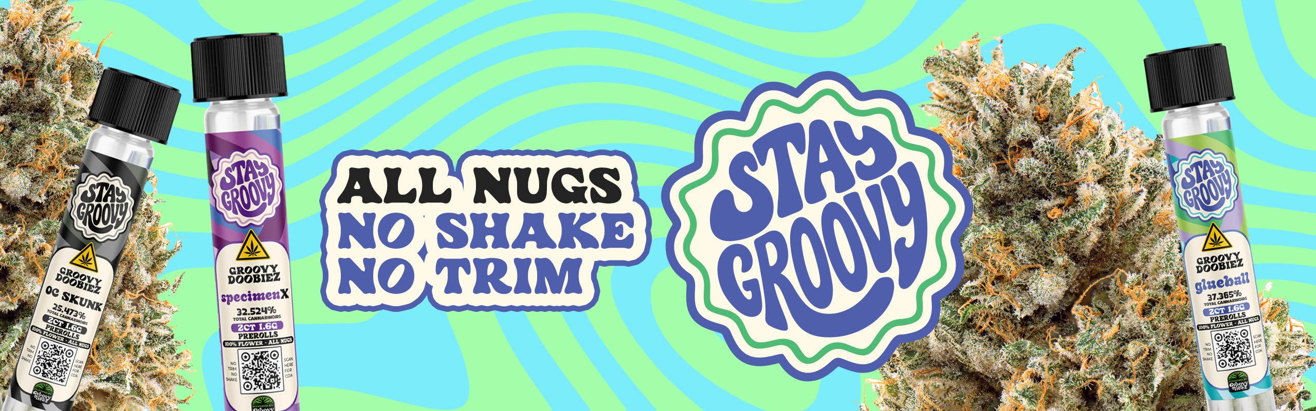 Stay Groovy brand banner