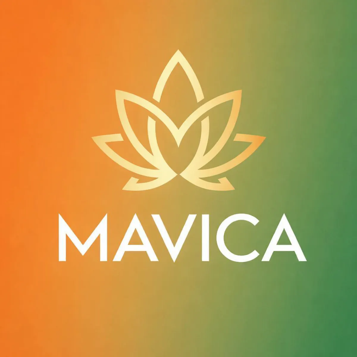 MAVICA brand banner