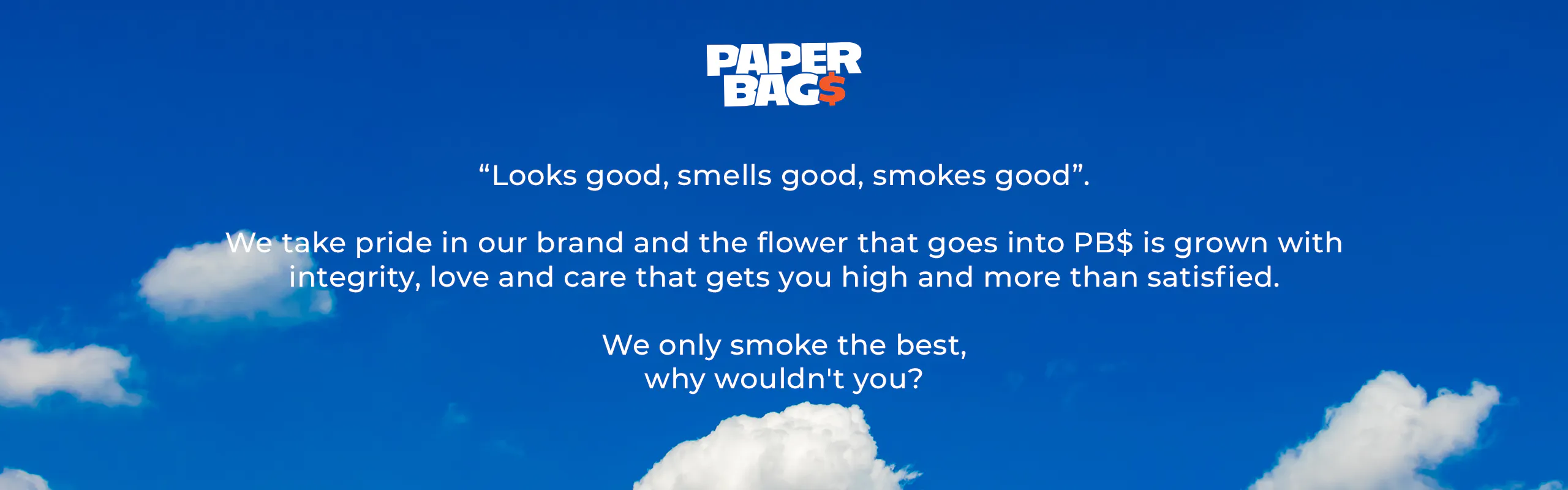 PAPER BAG$ brand banner