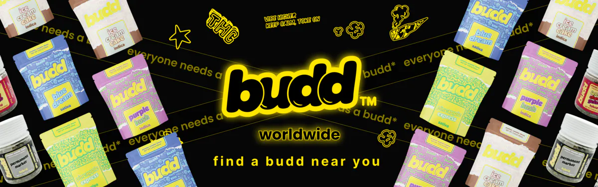 Budd Worldwide brand banner