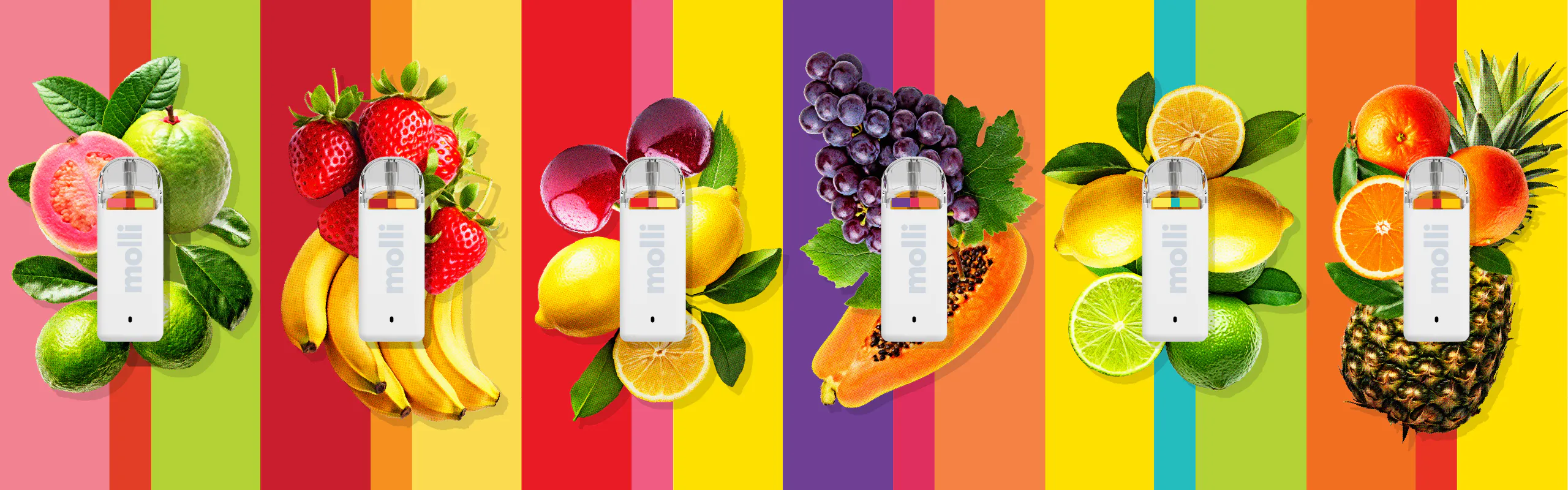 Molli brand banner