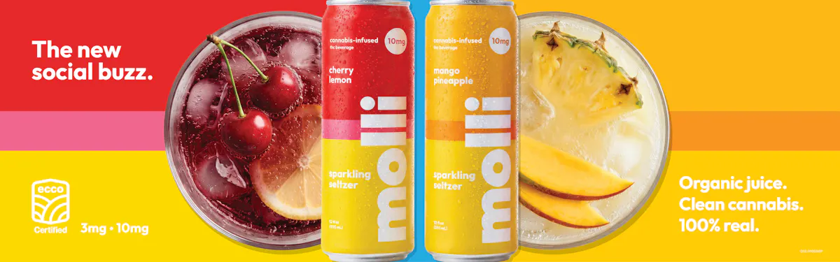 Molli brand banner