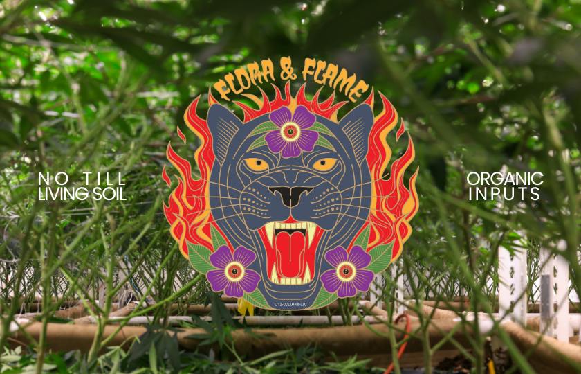 Flora & Flame