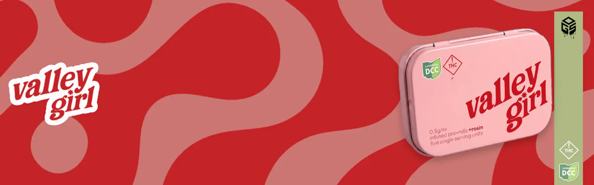 Valley Girl brand banner