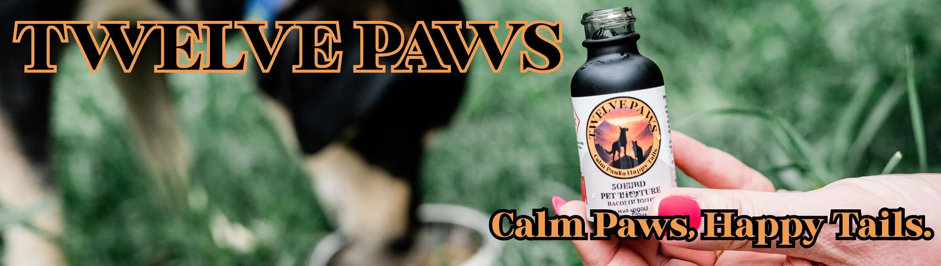 Twelve Paws brand banner
