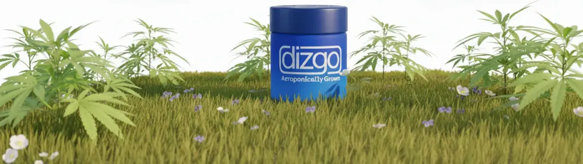 Dizgo Collective brand banner