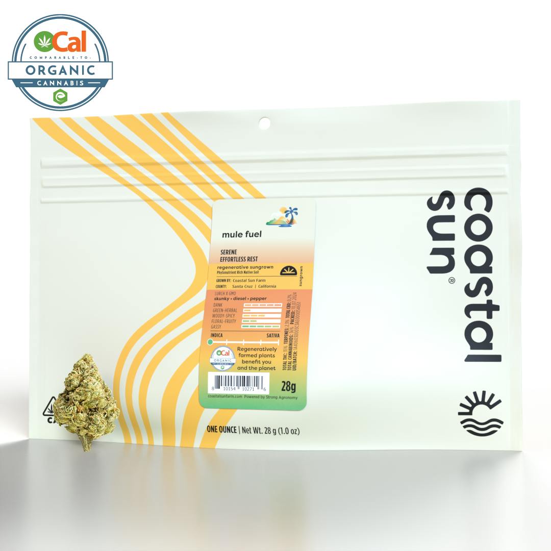 Coastal Sun - Coastal Sun | Mule Fuel | Sungrown Flower | 28g - 1