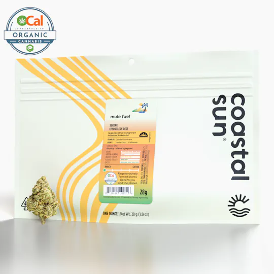 Coastal Sun - Coastal Sun | Mule Fuel | Sungrown Flower | 28g - 1