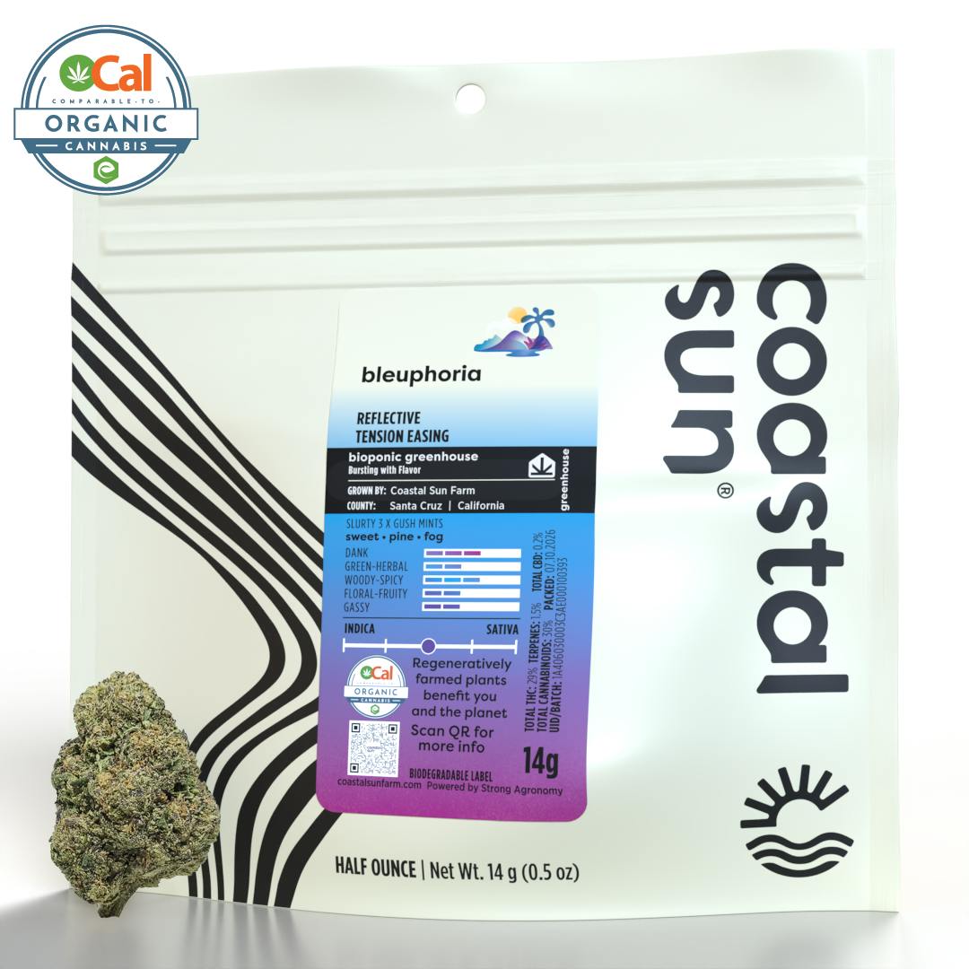 Coastal Sun - Coastal Sun | Bleuphoria | Greenhouse Flower | 14g - 1