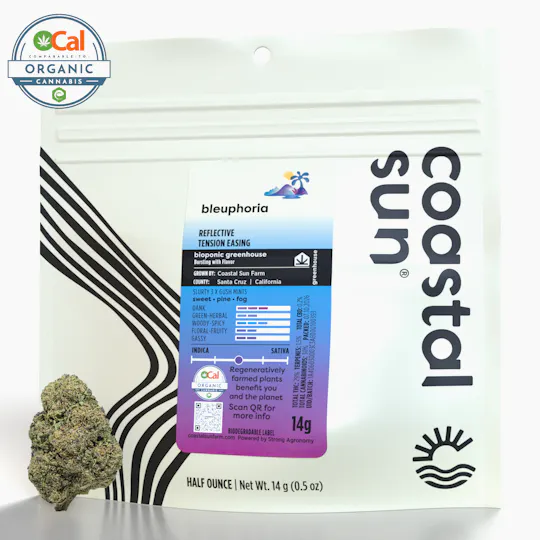 Coastal Sun - Coastal Sun | Bleuphoria | Greenhouse Flower | 14g - 1