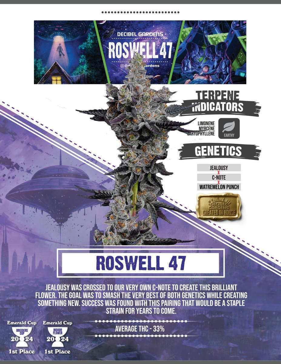 Decibel Gardens - Roswell 47 | Smalls | 14g - 1