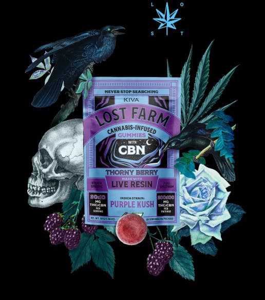Lost Farm - Thorny Berry 'Purple Kush' 2:1 THC:CBN Gummies | 200mg | 10ct | 20mg/ea - 1