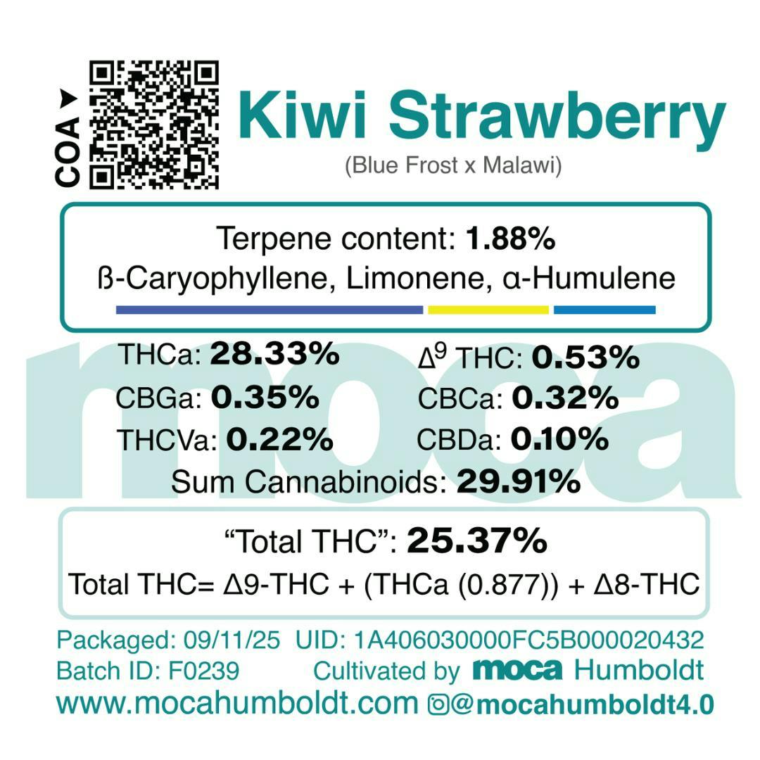 MOCA Humboldt - MOCA Flowers - 1/8th Jar - Kiwi Strawberry - 1