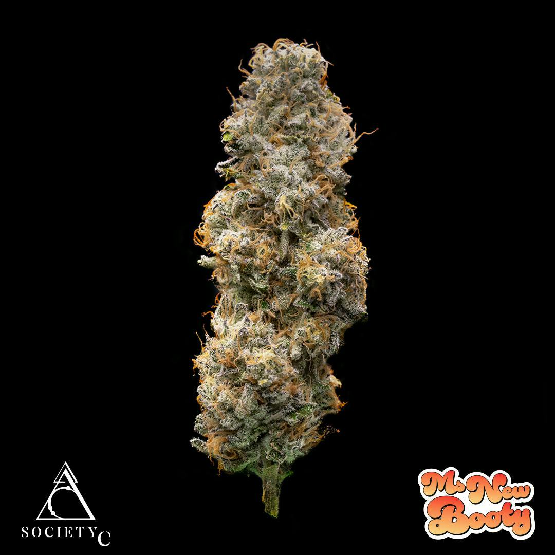 Society C - Society C | Ms. New Booty | Big Buds | 3.5g - 1