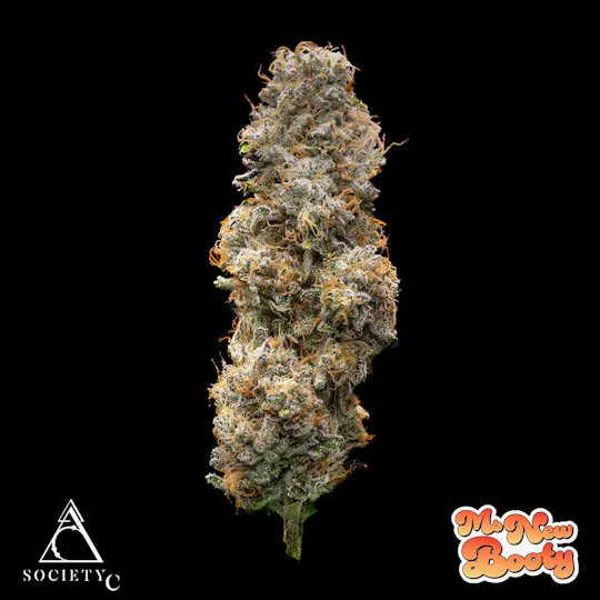Society C - Society C | Ms. New Booty | Big Buds | 3.5g - 1
