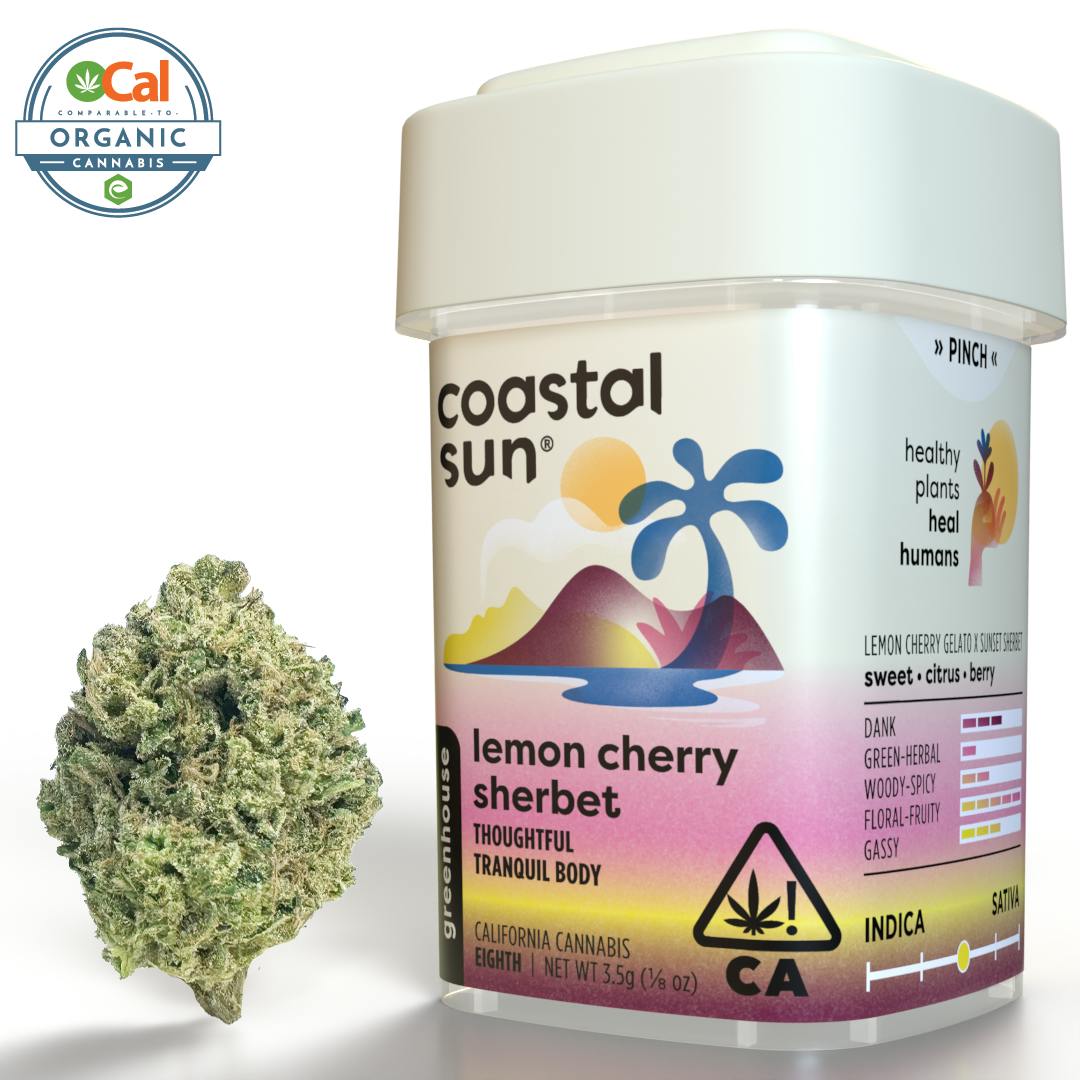 Coastal Sun - Lemon Cherry Sherbet Greenhouse Flower 3.5g - 1