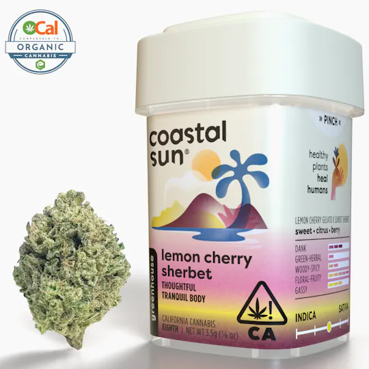 Coastal Sun - Lemon Cherry Sherbet Greenhouse Flower 3.5g - 1