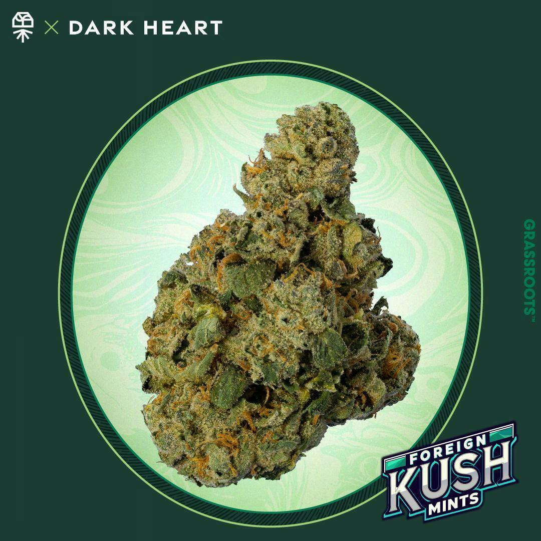 Grassroots - Foreign Kush Mints Whole Flower - Dark Heart Collection - 1