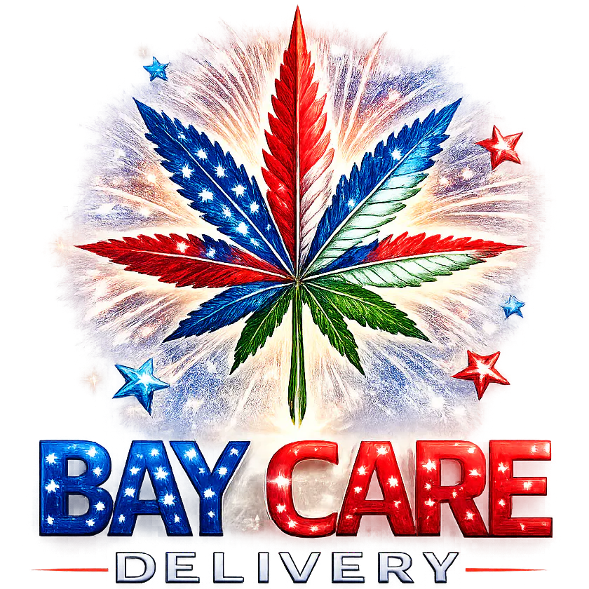 Bay Care Delivery