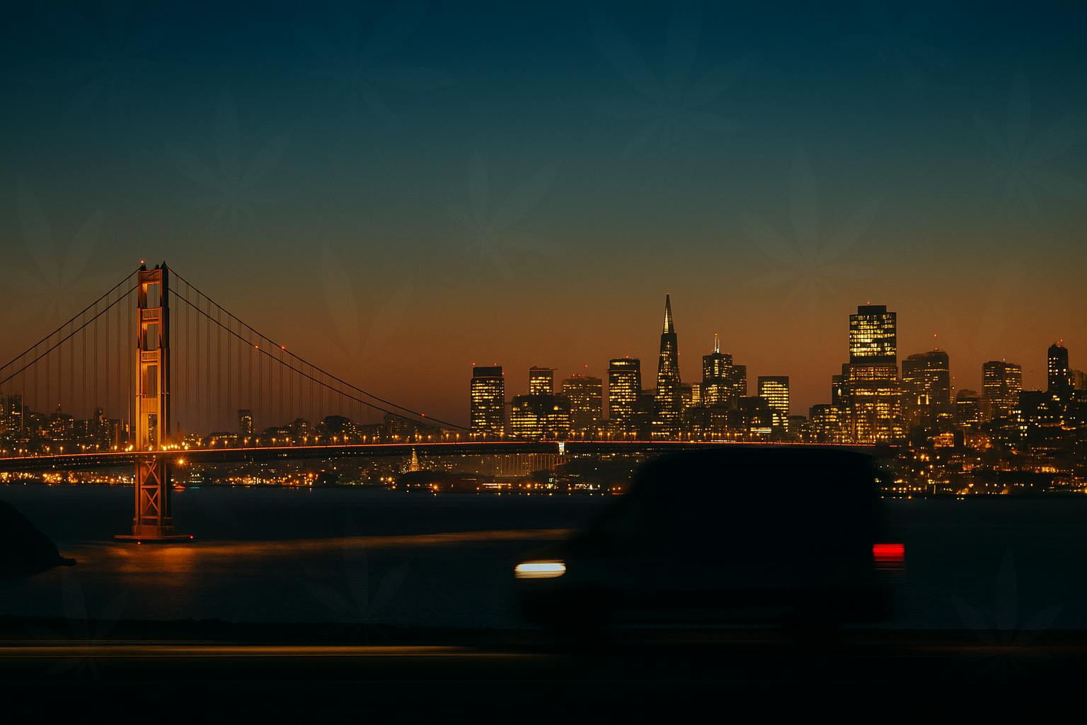 Bay Care Delivery listing banner