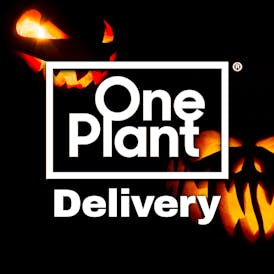 One Plant Delivery - Antioch