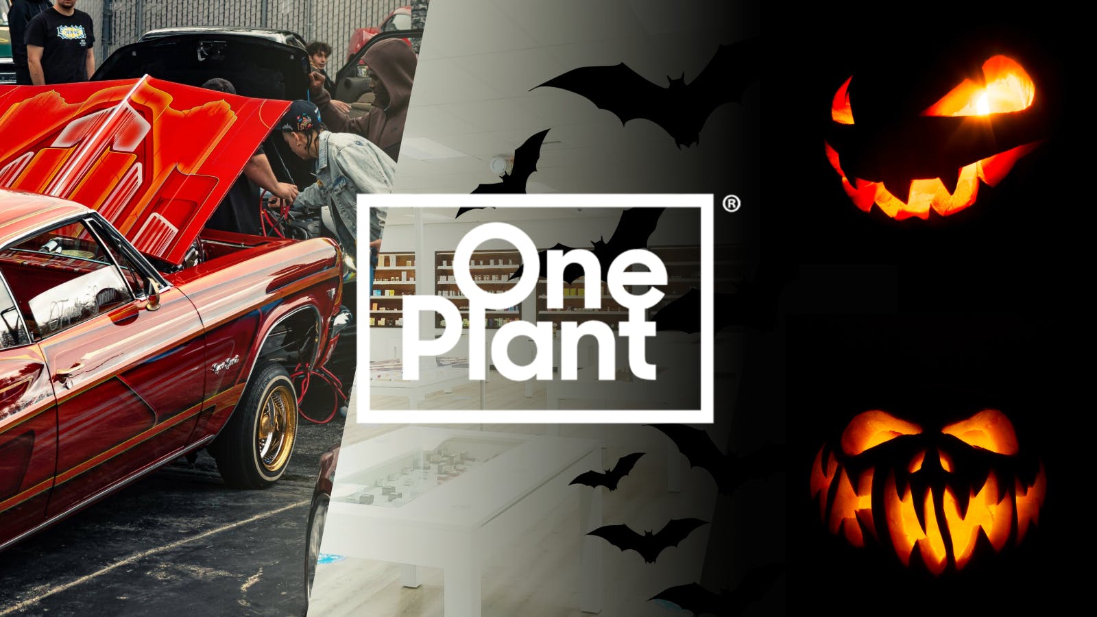 One Plant Delivery - Antioch listing banner