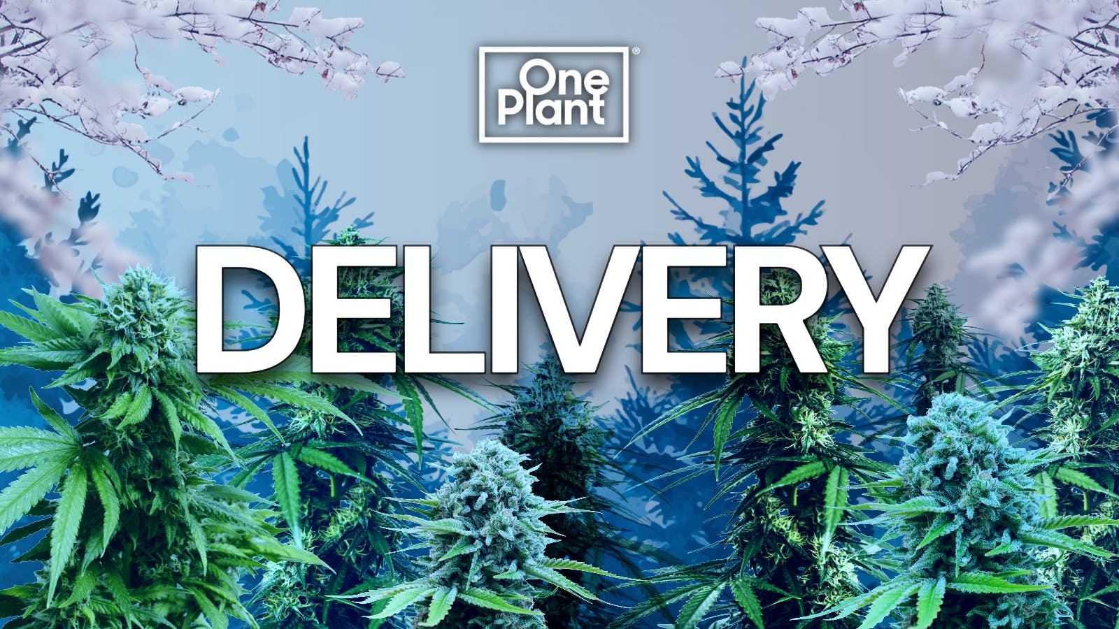 One Plant Delivery - Antioch listing banner