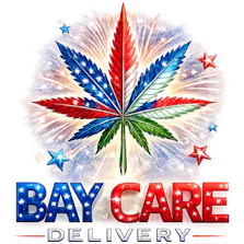 Bay Care Delivery
