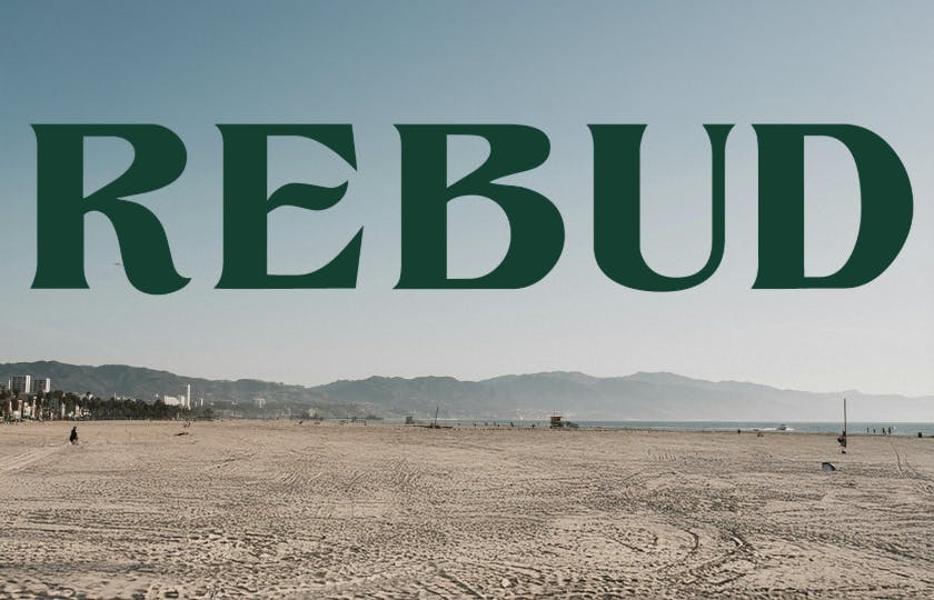 Rebud - Anaheim Hills listing banner
