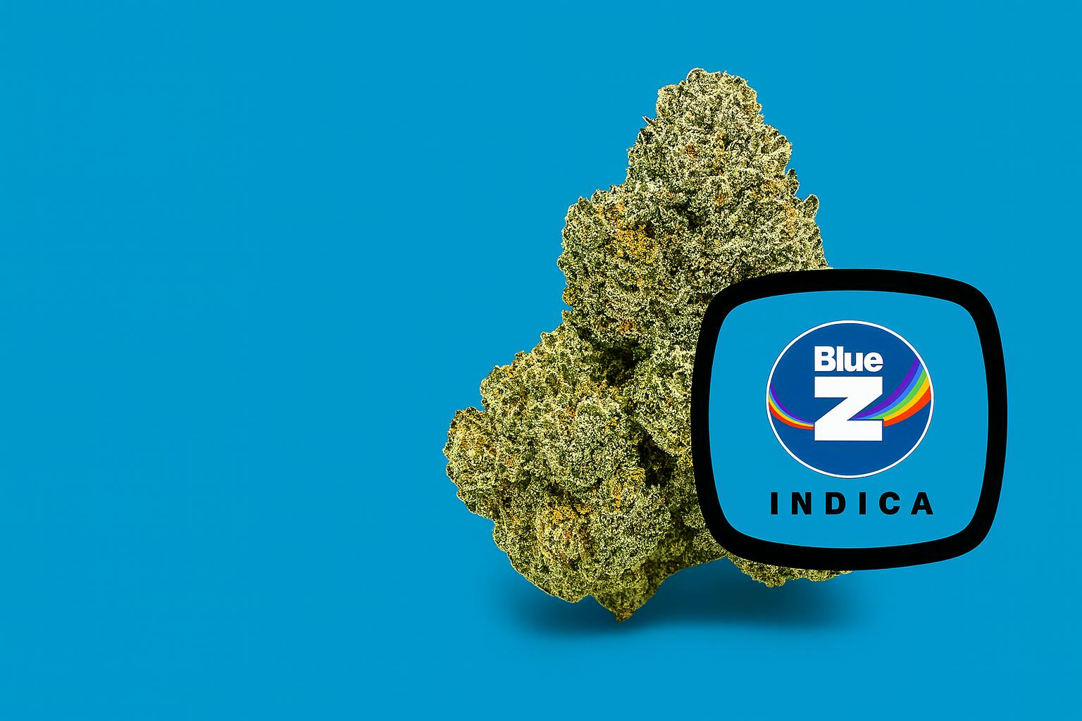 Bleu Diamond listing banner