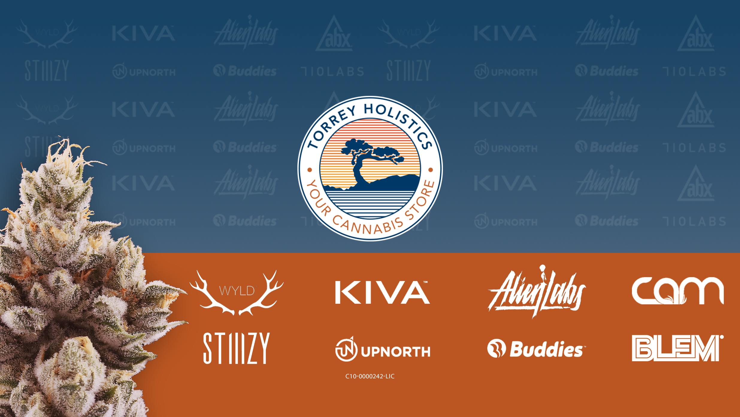 Torrey Holistics Delivery | La Jolla / San Diego listing banner