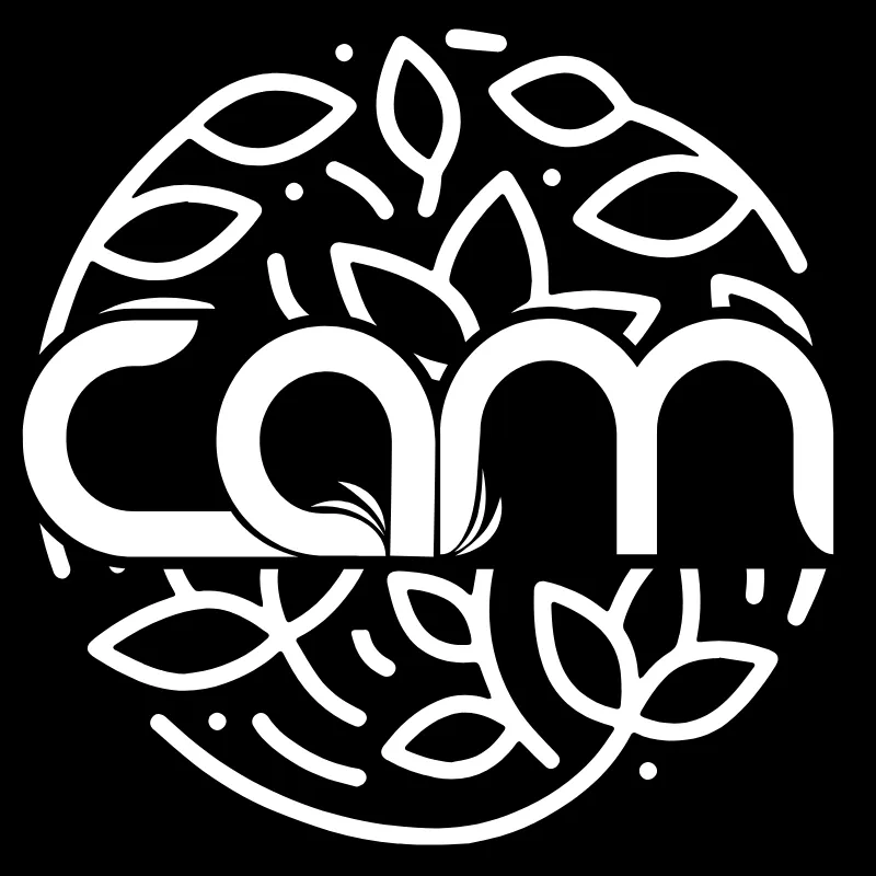 CAM Delivery