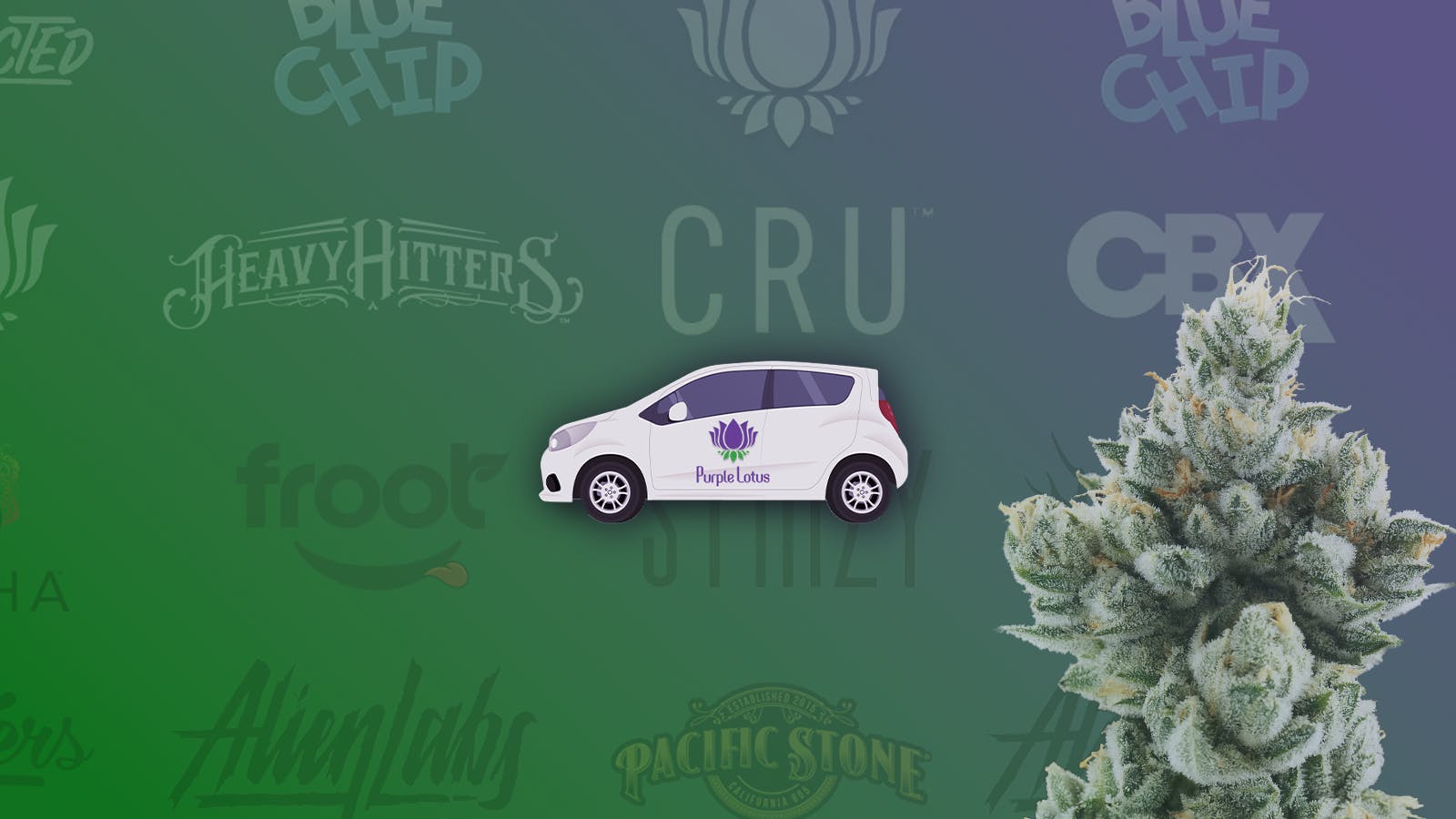 Purple Lotus Patient Center - San Jose listing banner