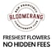 BLOOMERANG