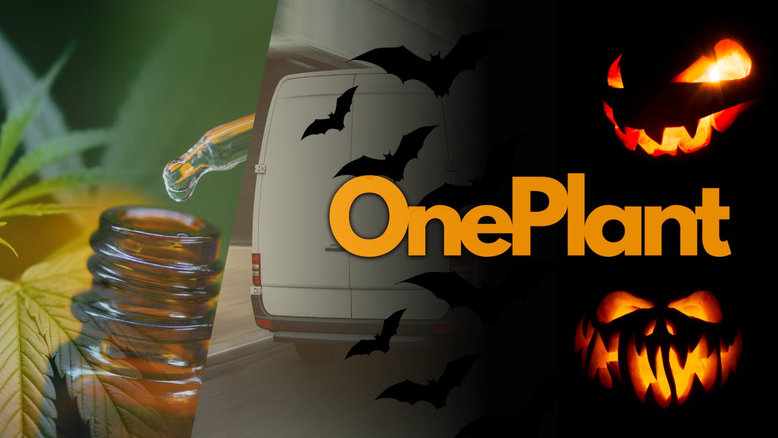 One Plant Delivery - Merced listing banner