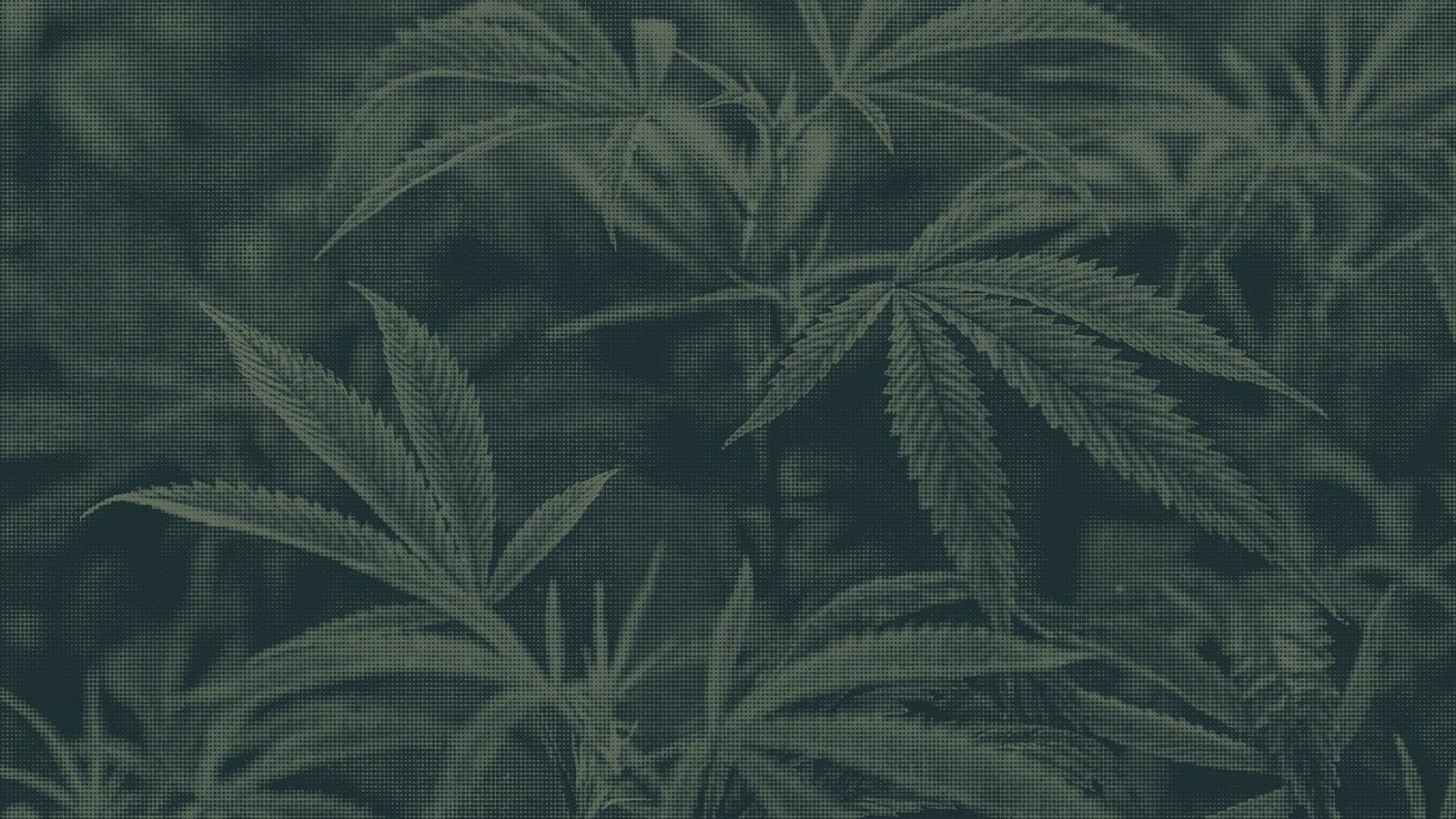 The Circle Delivery listing banner