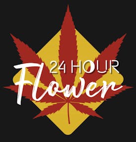 24 Hour Flower