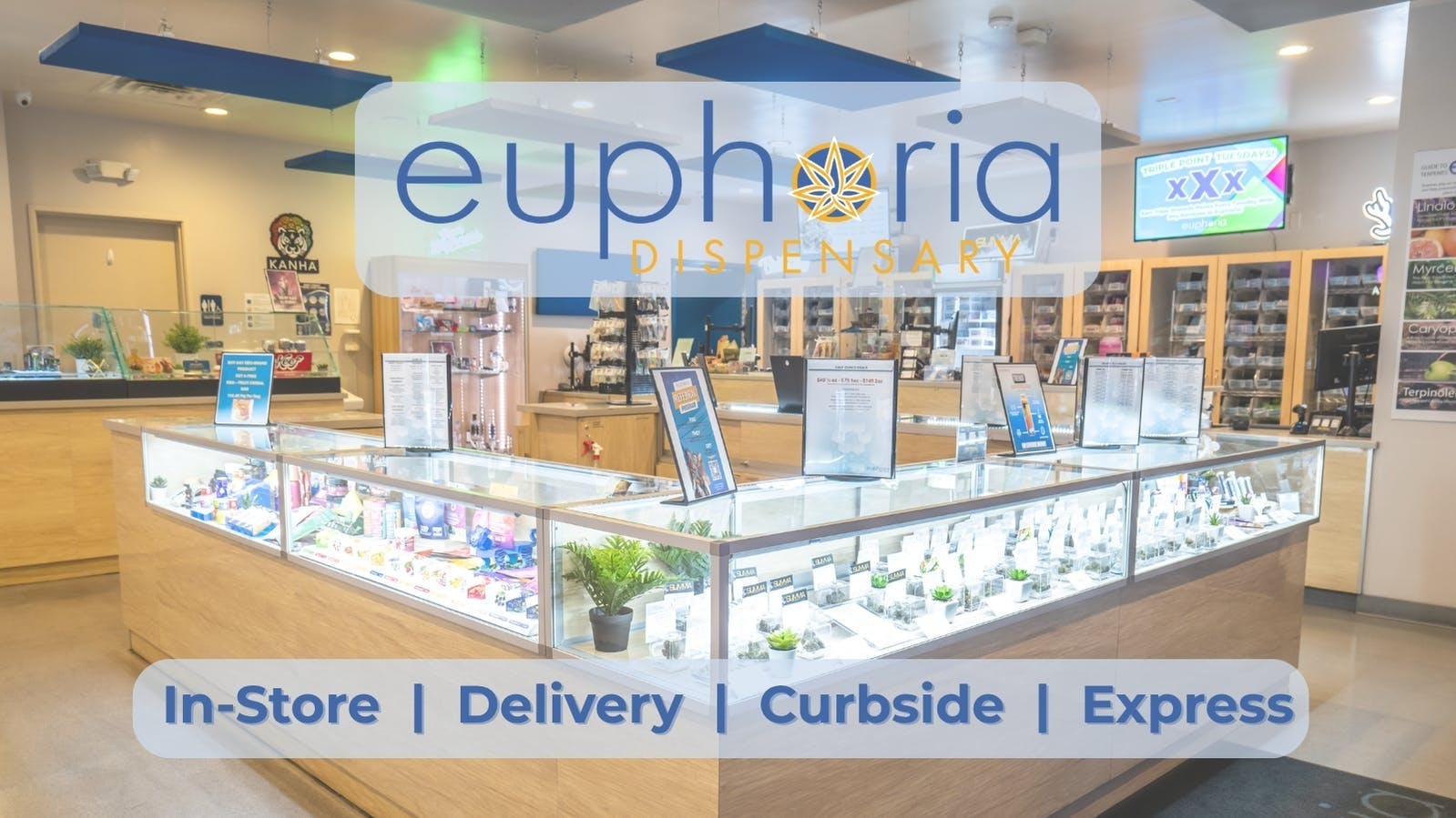 Euphoria Wellness - Marijuana Dispensary listing banner