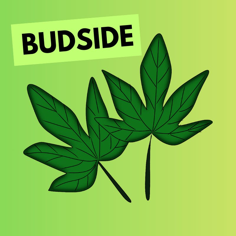 Budside Cannabis - Delivery listing banner