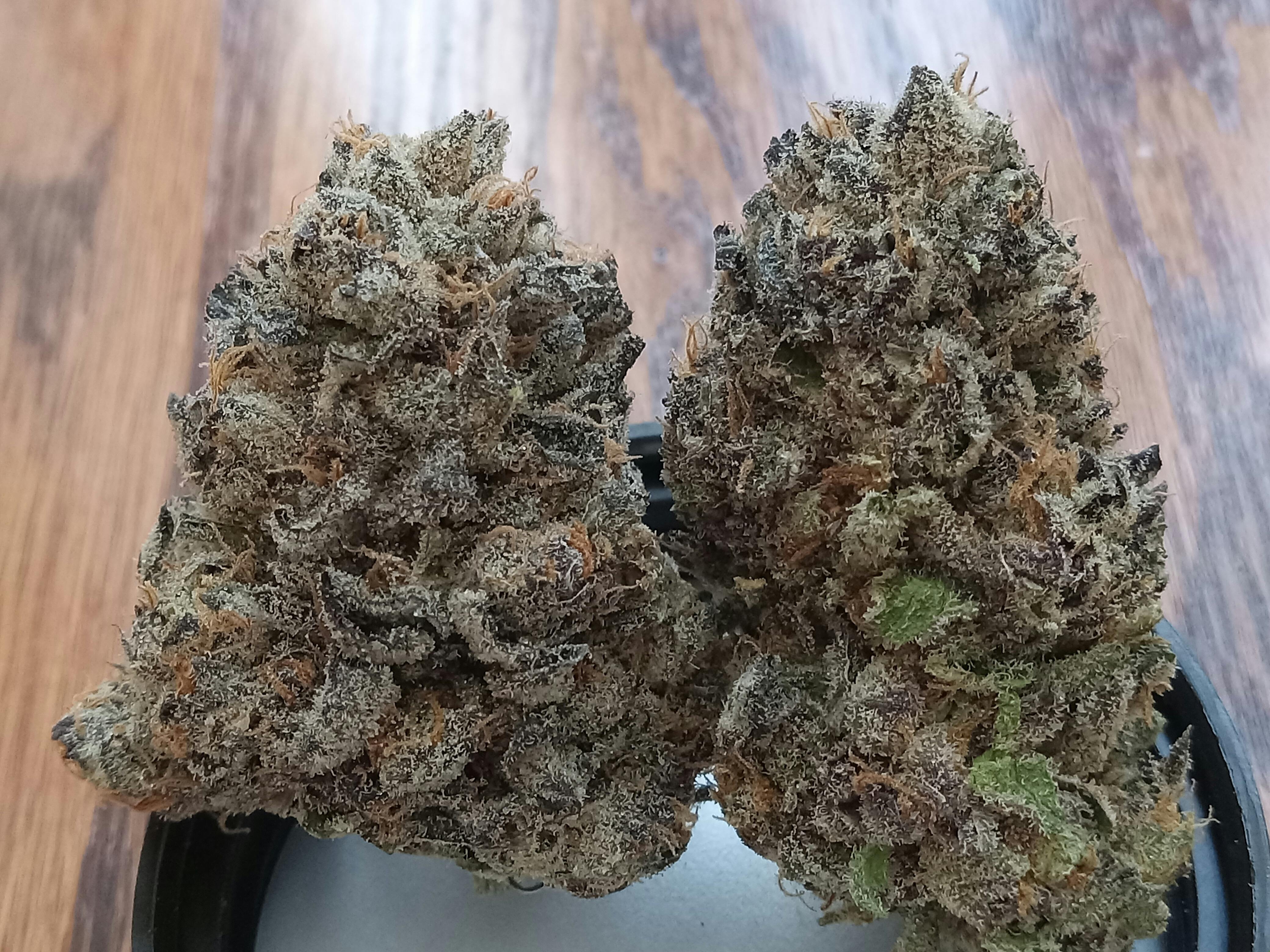 Joint Effort listing banner