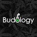 Budology - Delivery