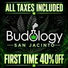 Budology - Delivery