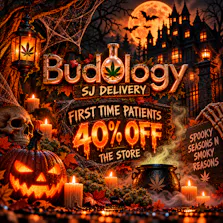 Budology - Delivery